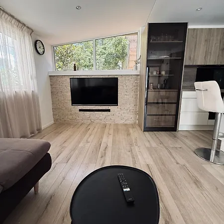 Apartment Puntamica